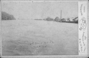 Primary view of object titled '[the Brazos River taken during the flood of 1899.]'.