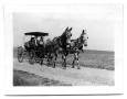 Photograph: [Three people in Appaloosa Mule-driven carriage]