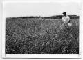 Primary view of [Photograph of Man in Field of Buffel Grass]