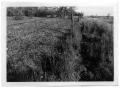 Thumbnail image of item number 1 in: '[Grass Field Separated by a Fence]'.