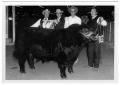 Thumbnail image of item number 1 in: 'Junior Champion Angus Steer'.