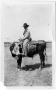 Photograph: Boy Riding a Bull