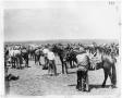 Photograph: Cowboys Tending to Horses