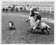 Photograph: Steer Running From a Rider