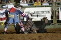 Thumbnail image of item number 1 in: '[Junior Bull Riding at Cowtown Coliseum]'.