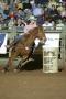 Primary view of [Woman Barrel Racing at Cowtown Coliseum]