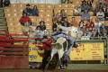 Photograph: [Bull riding at the Cowtown Coliseum]