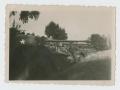 Primary view of [Soldier by Row of Tanks]