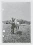 Photograph: [Soldier with Horse]