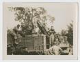 Photograph: [Soldiers Climbing on Truck]