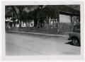 Photograph: [Photograph of Houses on Browder Street]