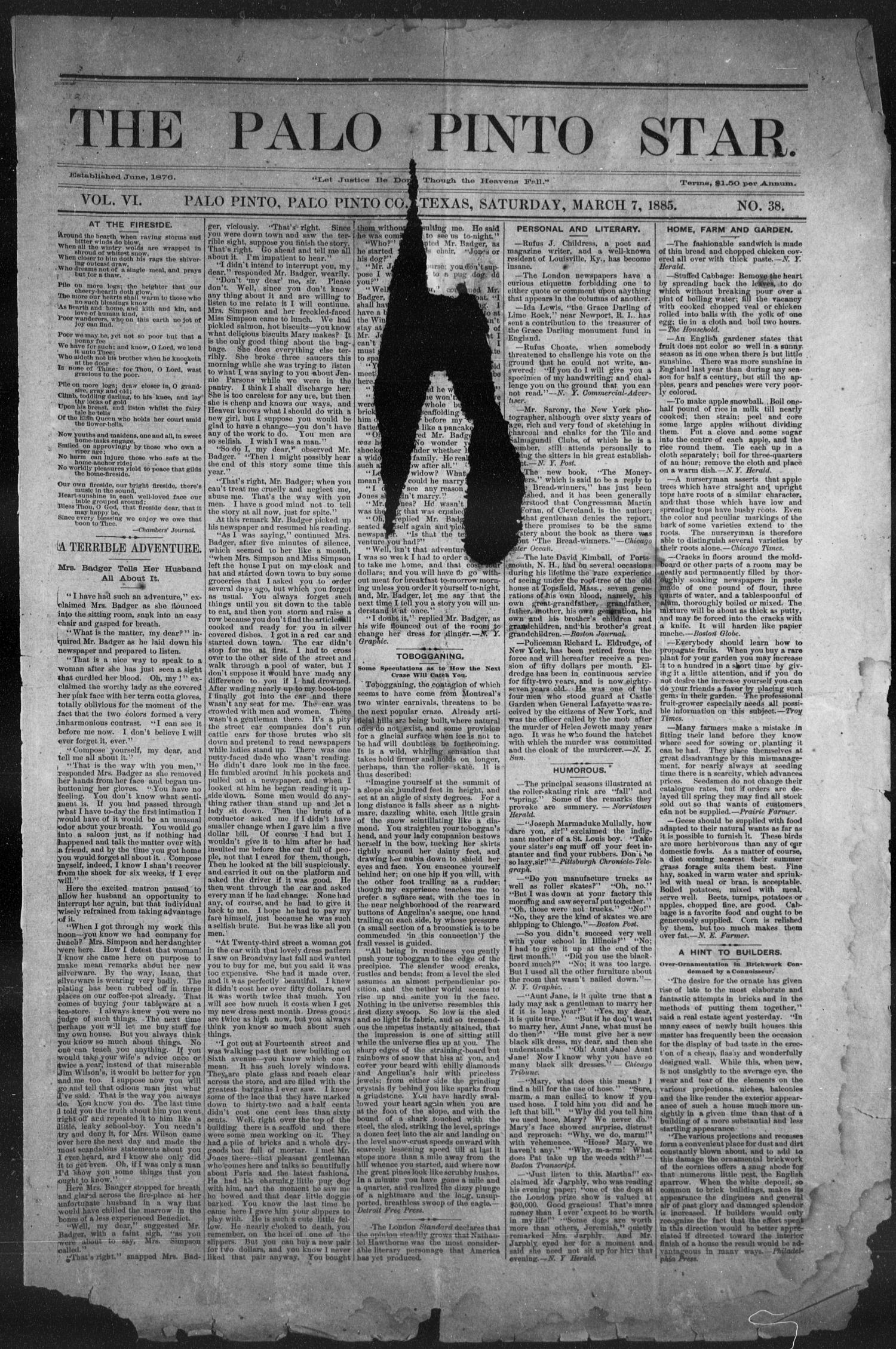 The Palo Pinto Star (Palo Pinto, Tex.), Vol. 6, No. 38, Ed. 1, Saturday, March 7, 1885
                                                
                                                    [Sequence #]: 1 of 4
                                                