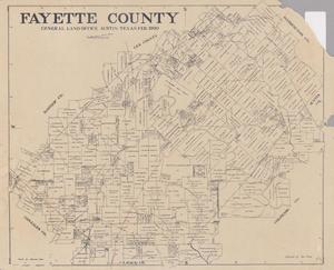 Primary view of object titled 'Fayette County'.