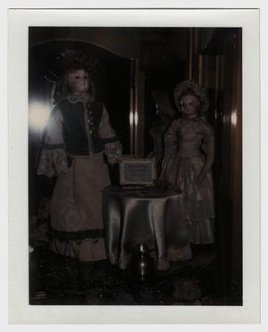 Primary view of object titled '[Photograph of French Fashion Dolls]'.