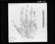 Photograph: Fingerprint Card: Lee Harvey Oswald, Right Hand