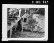 Thumbnail image of item number 1 in: 'Back Yard of 214 Neeley Street #4'.