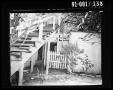 Thumbnail image of item number 1 in: 'Back Yard of 214 Neeley Street #6'.