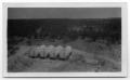 Thumbnail image of item number 1 in: 'Gulf Oil Tanks'.