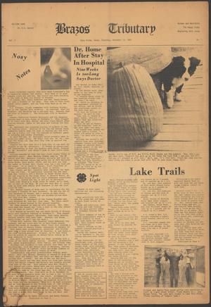 Primary view of object titled 'Brazos Tributary (Palo Pinto, Tex.), Vol. 1, No. 1, Ed. 1 Thursday, November 13, 1969'.