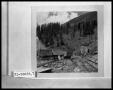 Thumbnail image of item number 1 in: 'Abandoned Mine and Mine Carts'.