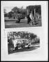 Photograph: Car and Four Dogs A; Car with Trailer B