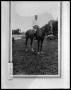 Photograph: Bud Perini on Horseback