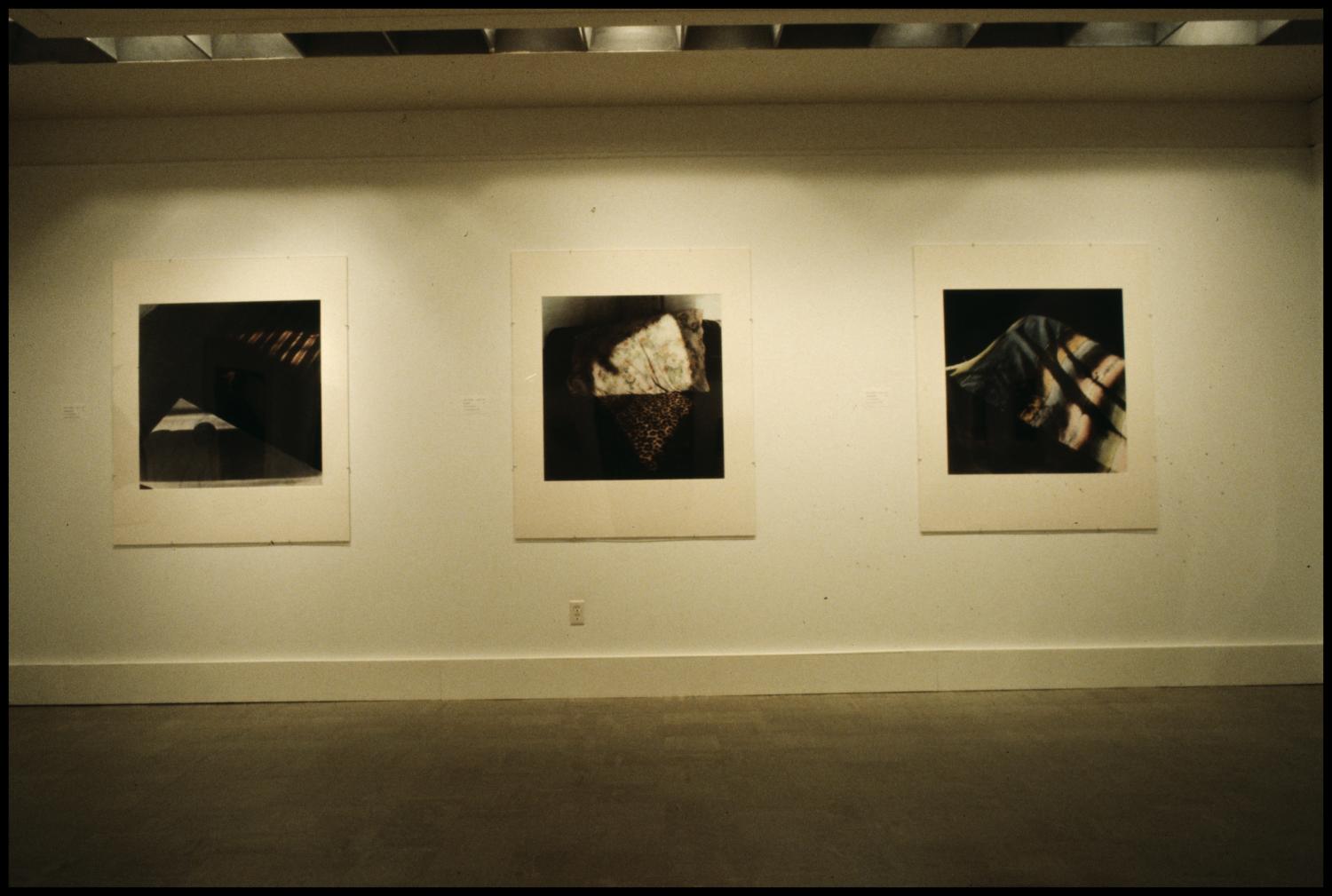 Concentrations II: Ann Lee Stautberg [Exhibition Photographs]
                                                
                                                    [Sequence #]: 3 of 9
                                                