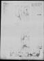 Thumbnail image of item number 4 in: 'Corpus Christi Caller (Corpus Christi, Tex.), Vol. 23, No. 289, Ed. 1 Monday, December 11, 1922'.