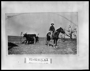 Primary view of object titled 'Boy On Horse #3'.