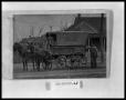 Photograph: Man with Horse Drawn Commercial Wagon