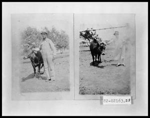 Primary view of object titled 'Man with Cow #2; Woman with Cow #2'.