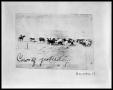 Thumbnail image of item number 1 in: 'Cows of Yesterday #2'.