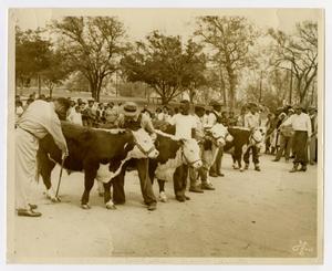 Primary view of object titled '1949 Livestock Show, Travis County'.