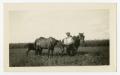 Photograph: [Man with Horses]