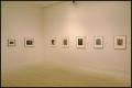 Primary view of Ansel Adams and American Landscape Photography [Photograph DMA_1411-13]
