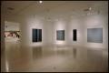 Photograph: Dallas Museum of Art Installation: Contemporary Art [Photograph DMA_9…