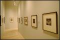 Primary view of Cubism & La Section d'Or: Works on Paper 1907-1922 [Photograph DMA_1462-09]