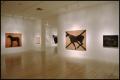 Photograph: Susan Rothenberg: Paintings and Drawings [Photograph DMA_1496-05]