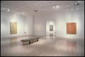 Primary view of Brice Marden, Work of the 1990s: Paintings, Drawings, and Prints [Photograph DMA_1565-10]