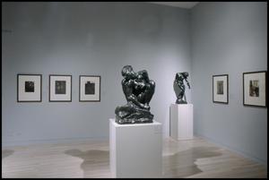 Primary view of object titled 'Degas to Picasso: Painters, Sculptors, and the Camera [Photograph DMA_1581-18]'.