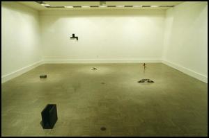 Primary view of object titled 'Joel Shapiro [Photograph DMA_1318-04]'.