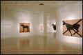 Photograph: Susan Rothenberg: Paintings and Drawings [Photograph DMA_1496-04]