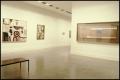 Primary view of Impressionism and the Modern Vision [Photograph DMA_1308-13]