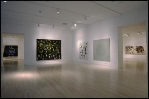 Primary view of object titled 'Dallas Museum of Art Installation: Contemporary Art [Photograph DMA_90015-099]'.