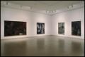 Photograph: Concentrations 29: Per Kirkeby [Photograph DMA_1346-03]