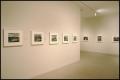 Primary view of Ansel Adams and American Landscape Photography [Photograph DMA_1411-09]