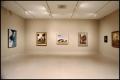 An American Vision: Three Generations of Wyeth Art [Photograph DMA_1405-31]