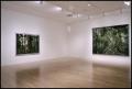 Primary view of Thomas Struth [Photograph DMA_1629-20]