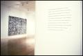 Primary view of Brice Marden, Work of the 1990s: Paintings, Drawings, and Prints [Photograph DMA_1565-17]