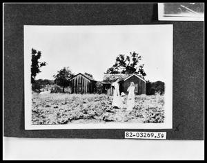 Primary view of object titled 'Women by Farmhouse in Field'.